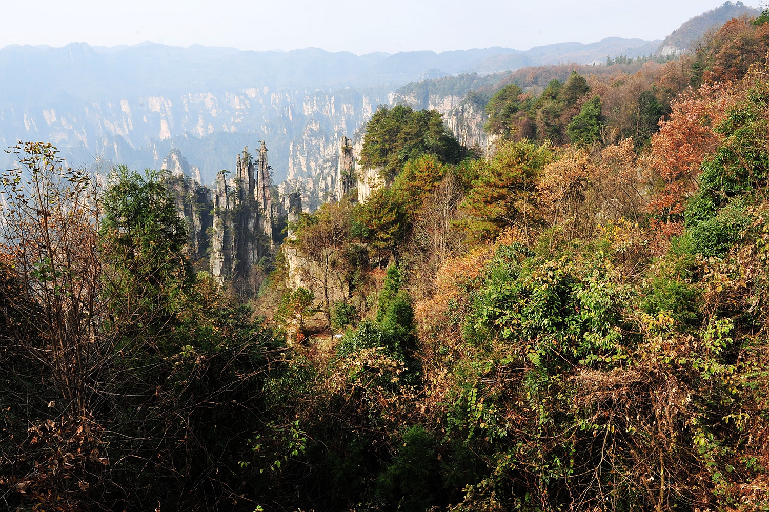 深秋的天子山2
