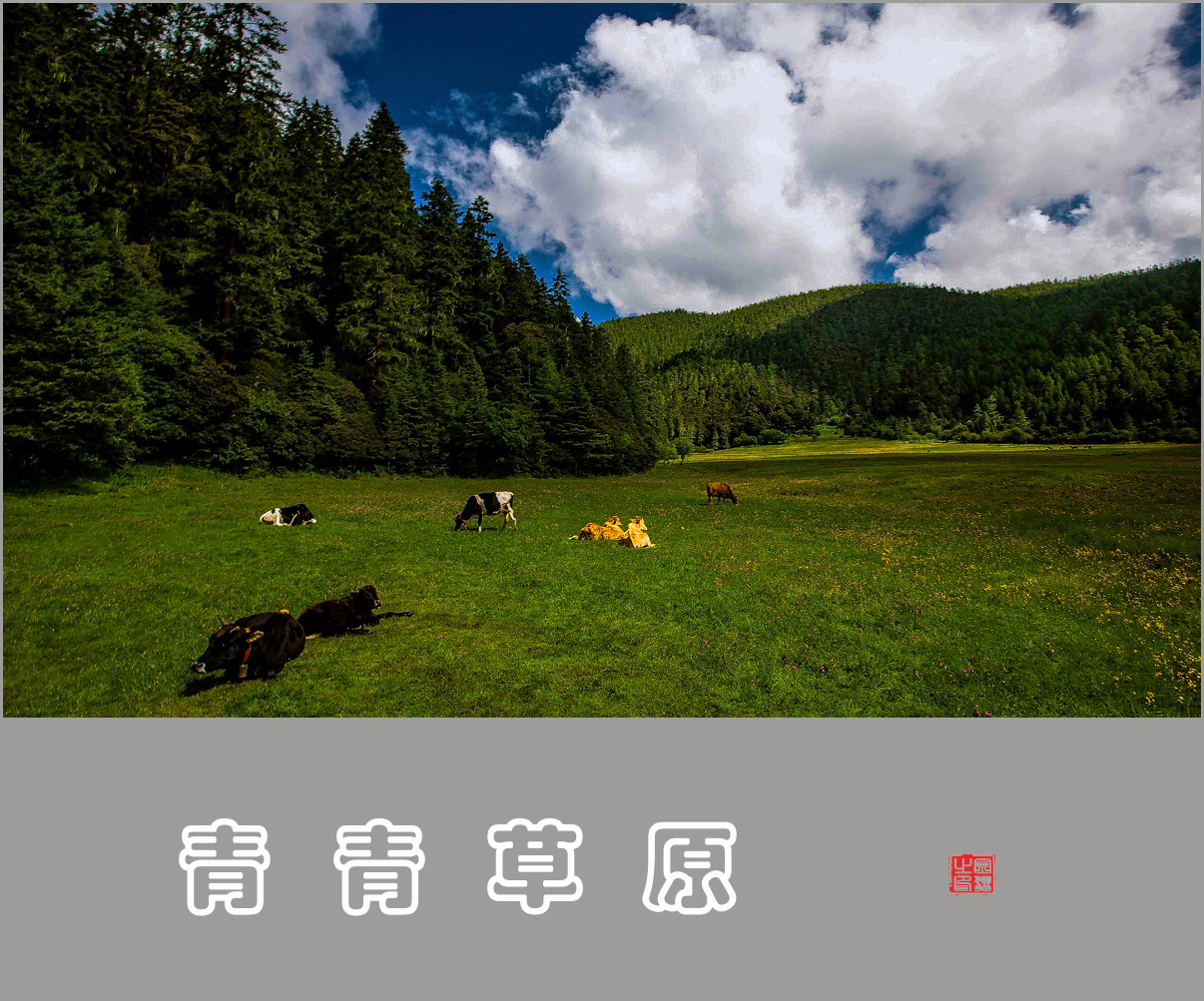 草原牧歌