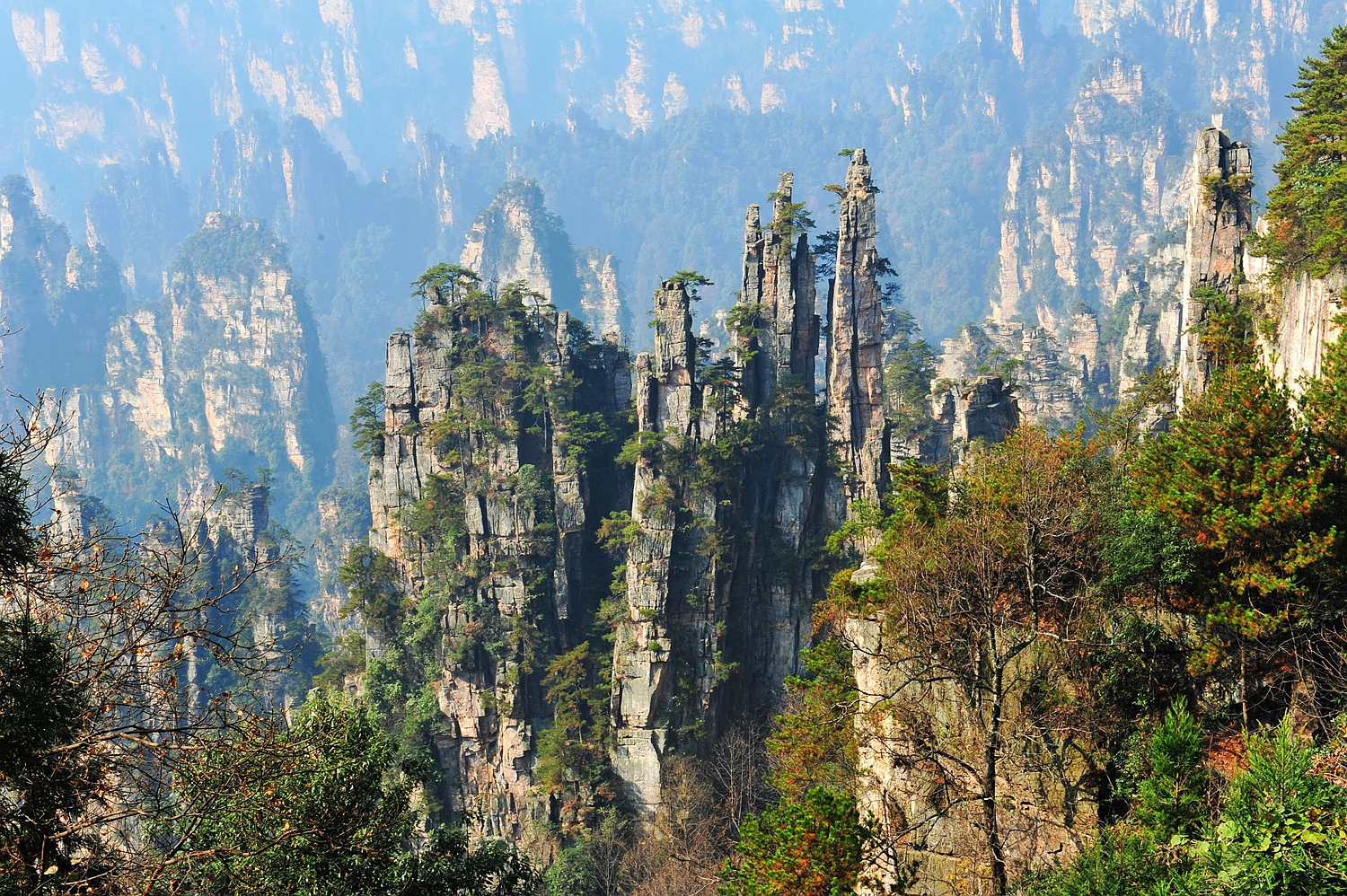深秋的天子山8
