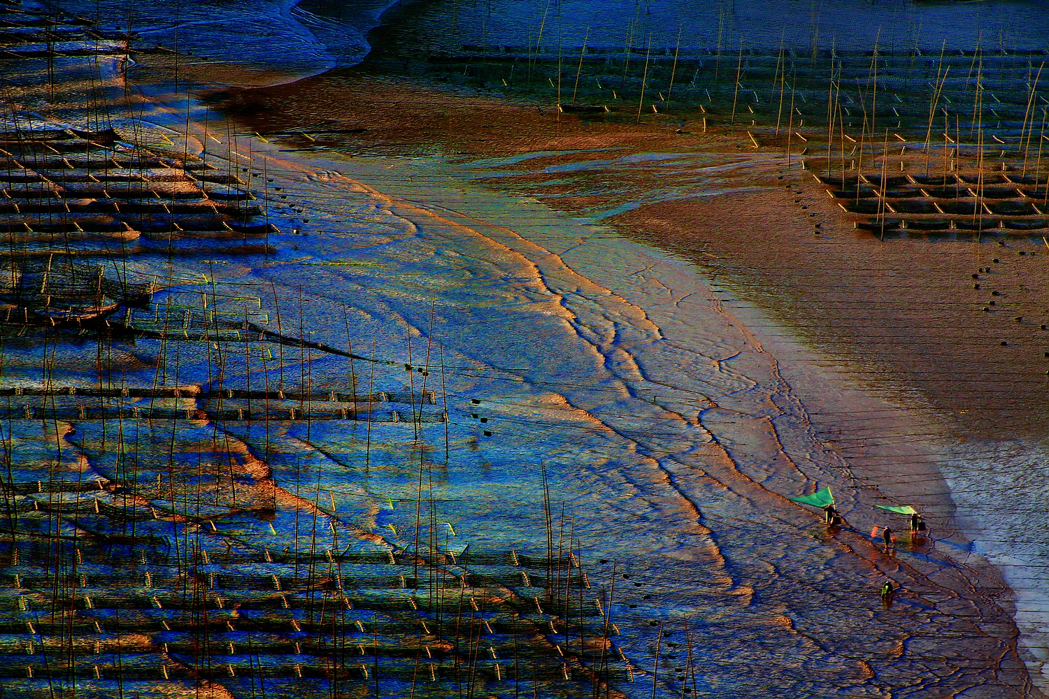 赶海归来