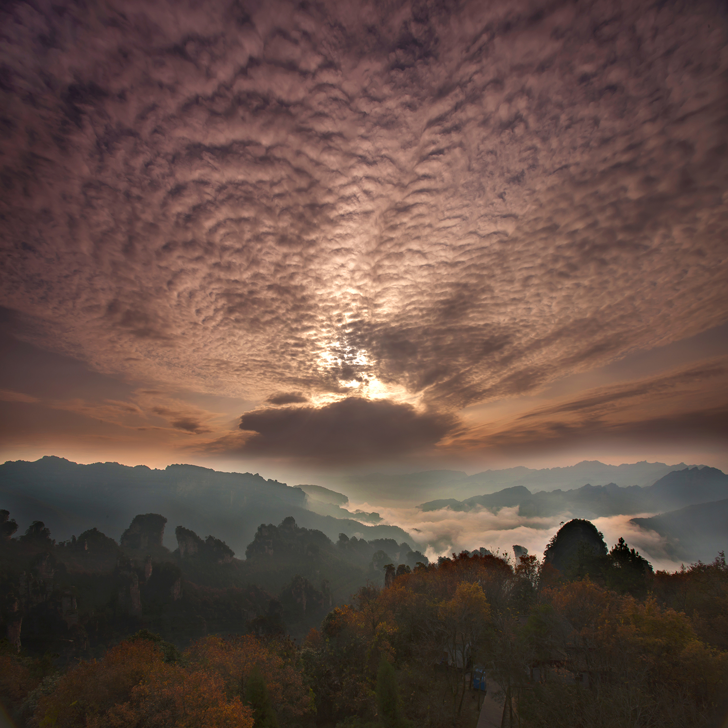 《霞光万丈》