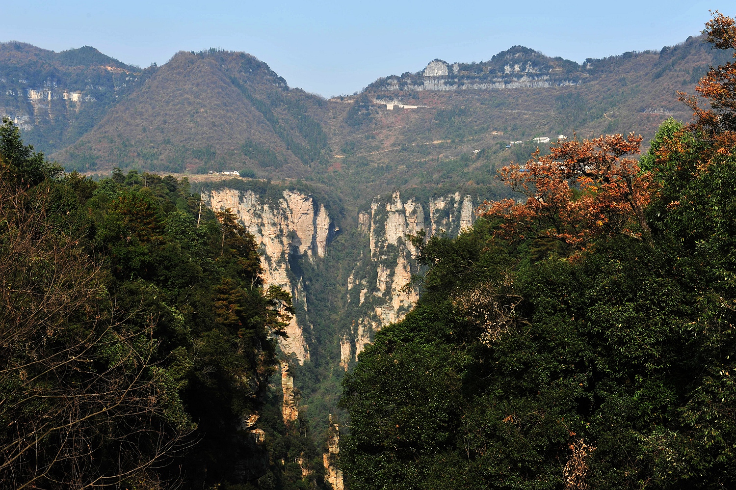袁家界秋景3