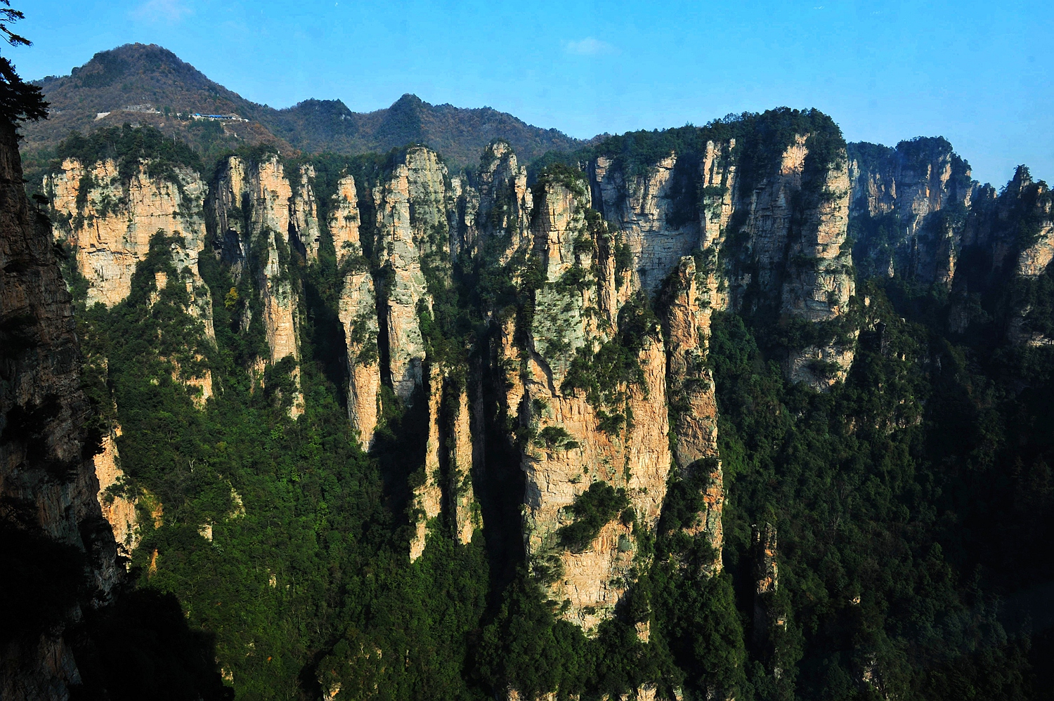 袁家界秋景4
