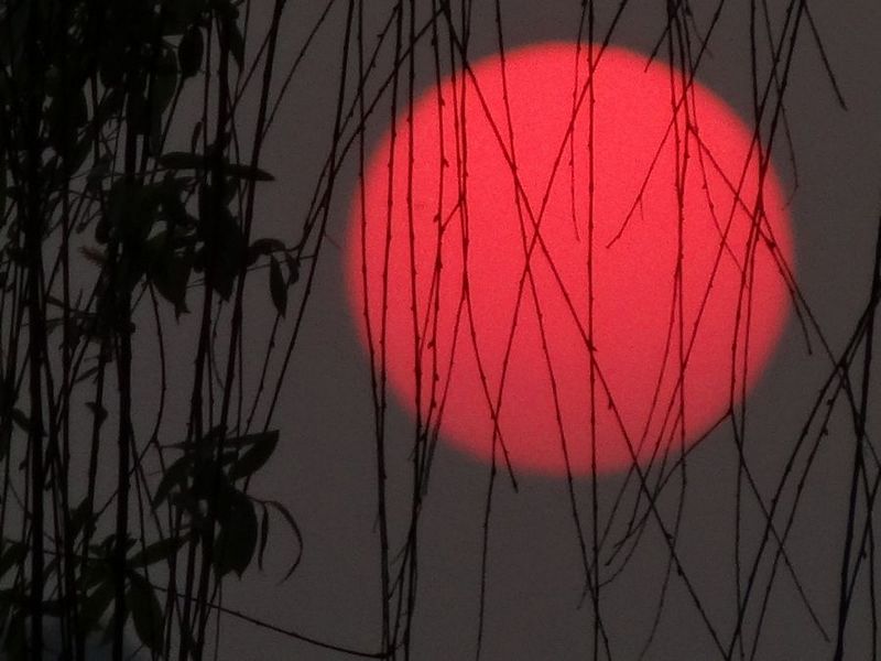 夕阳