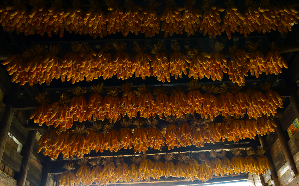 农家（八）