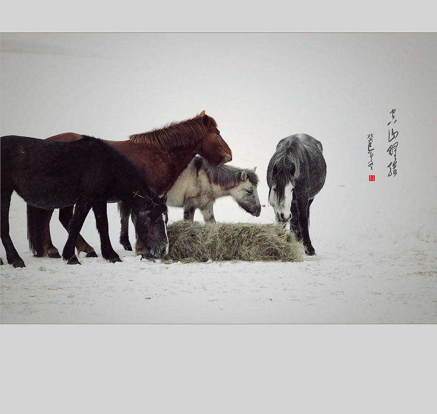 骏马图