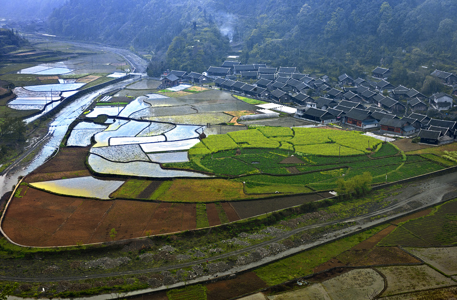 大地调色板