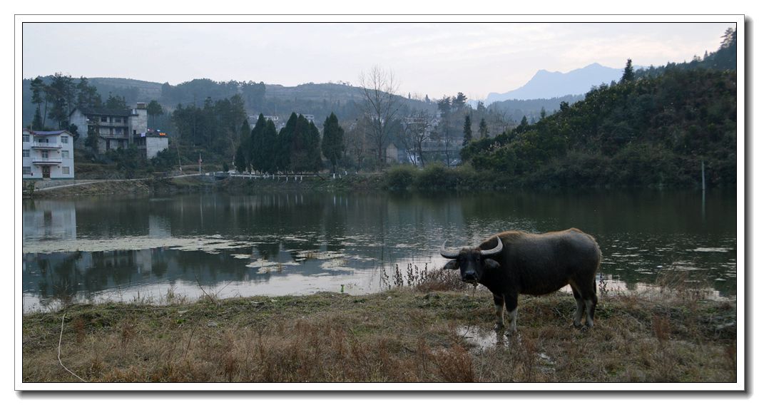 乡间小景