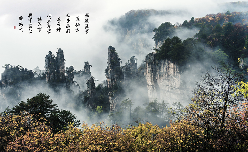 天子山金秋云雾
