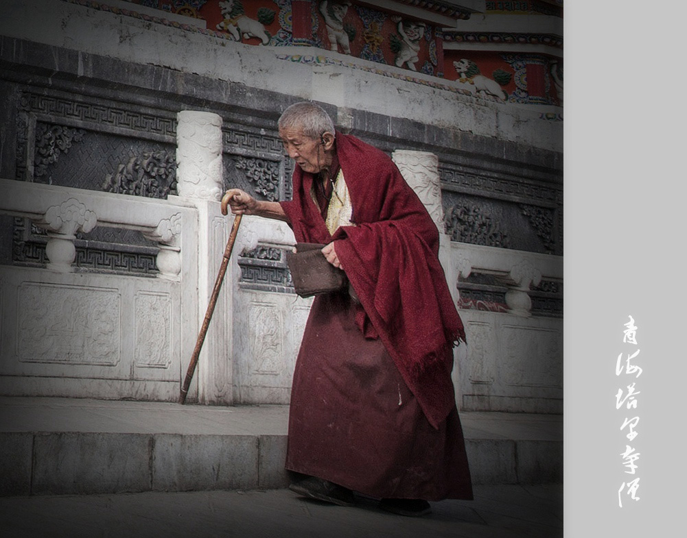 青海塔尔寺僧