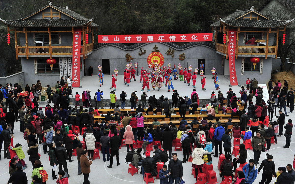 沅古坪栗山村杀猪活动