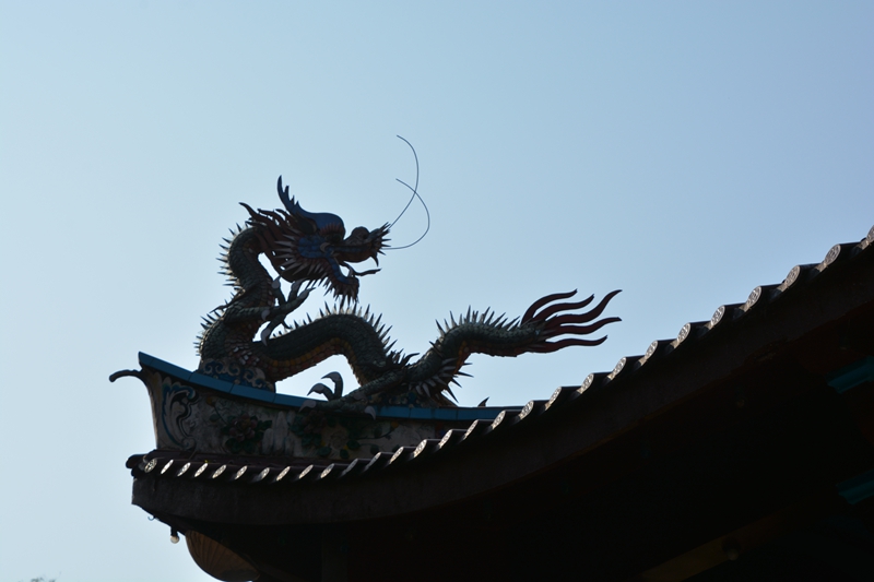 龙影