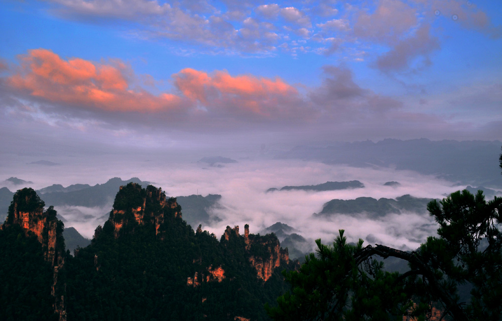 杨家界