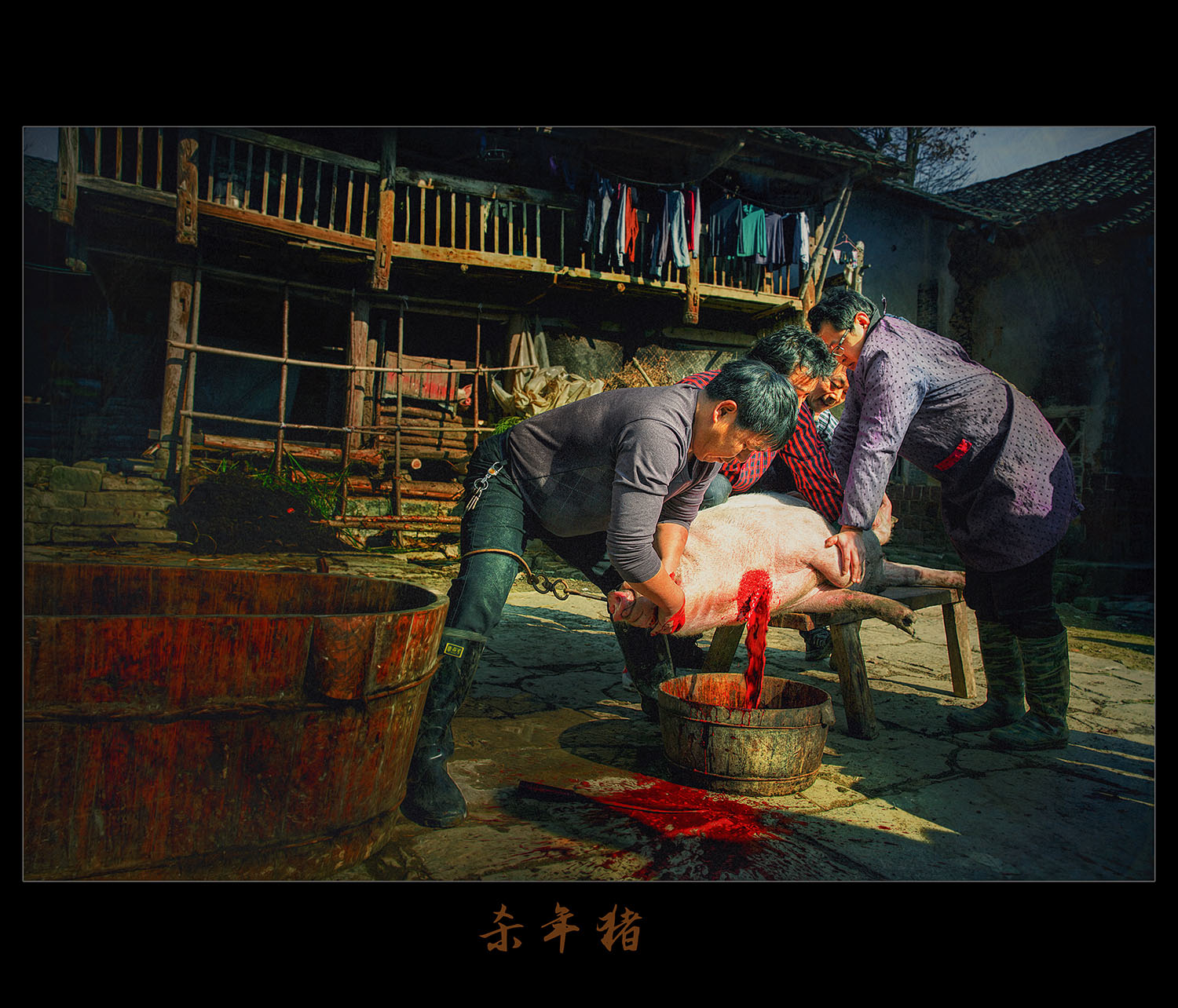 杀年猪