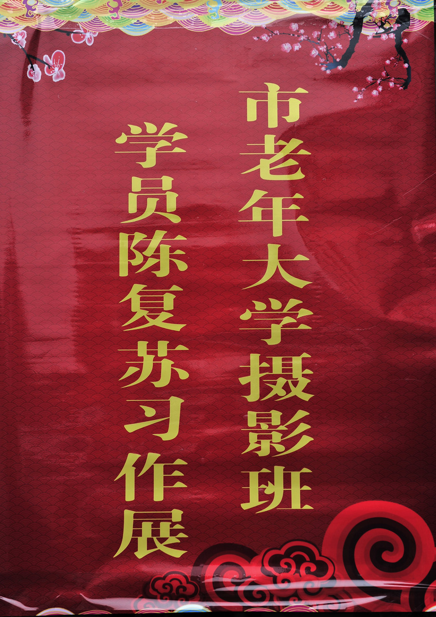 喜看老年大学陈复苏同学习作展《组照1》