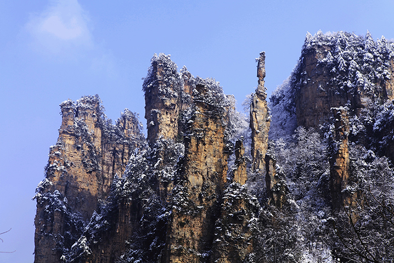 雪映将军