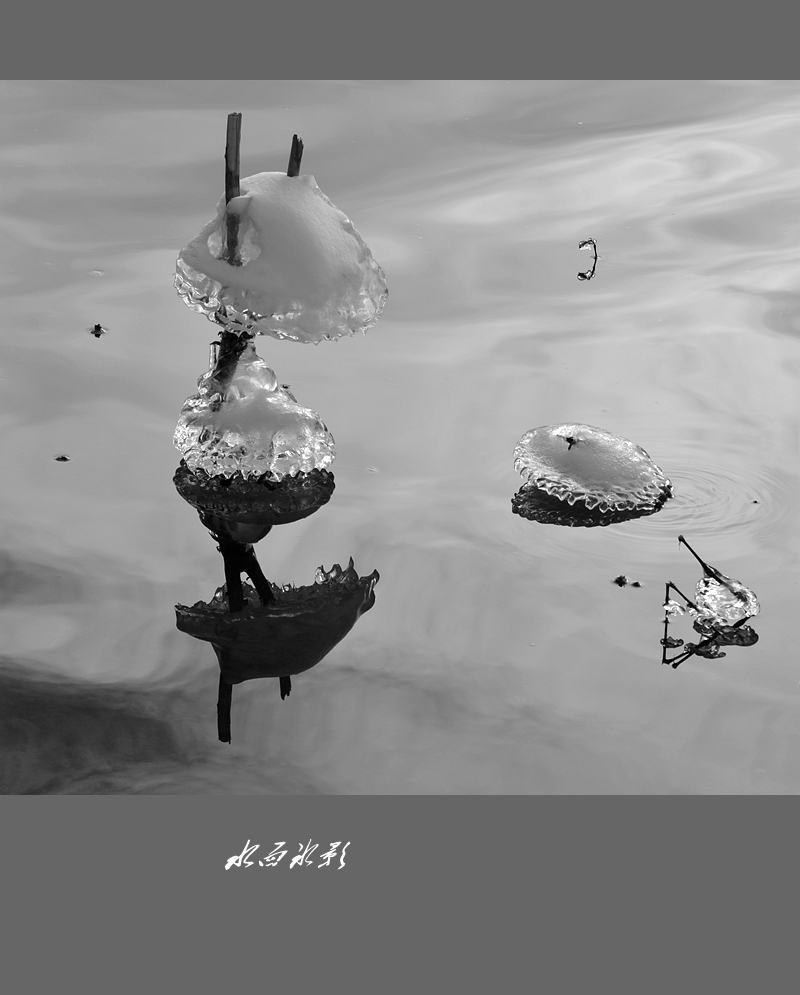 水面冰影