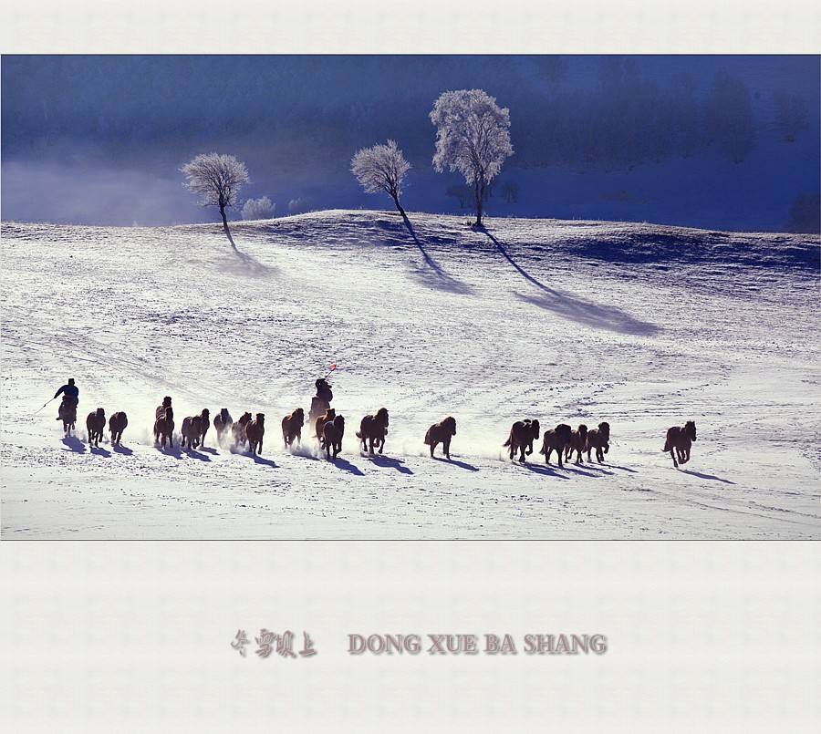 冬雪坝上