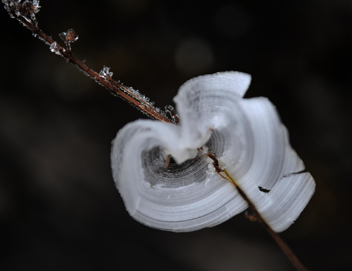 天门山冰花