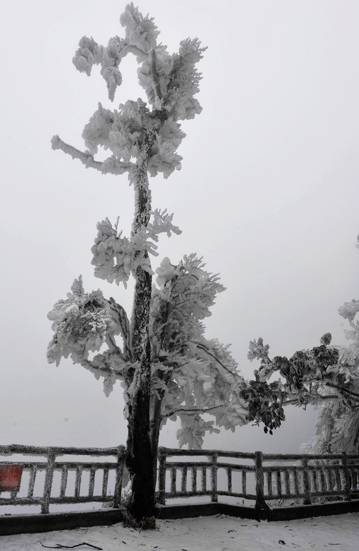 天门山·雪