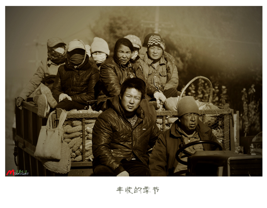 丰收的季节