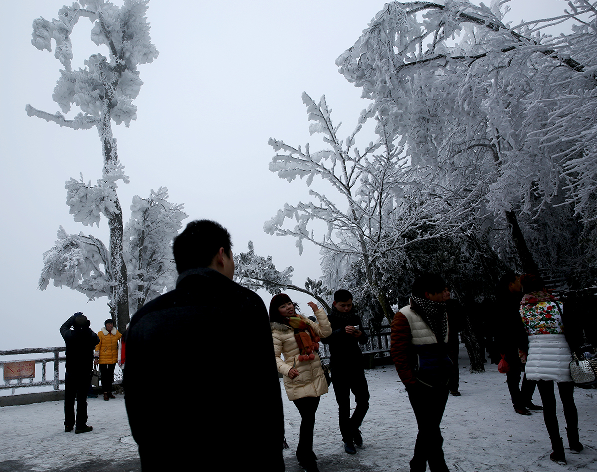 雪中游之二