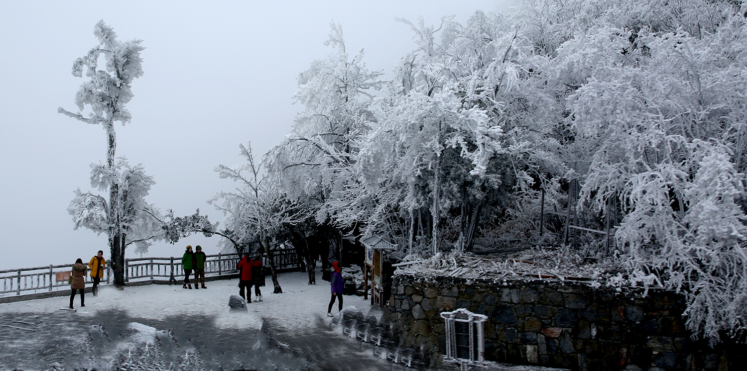 雪中游之一