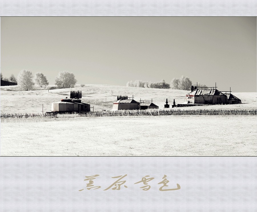 荒原雪色