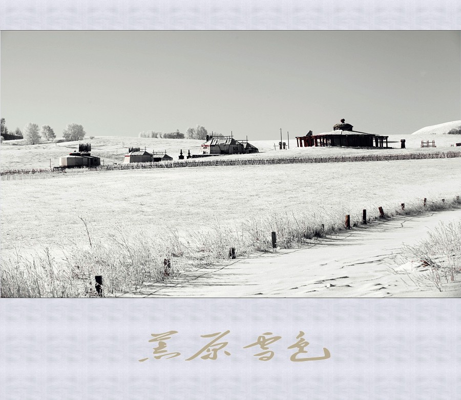 荒原雪色
