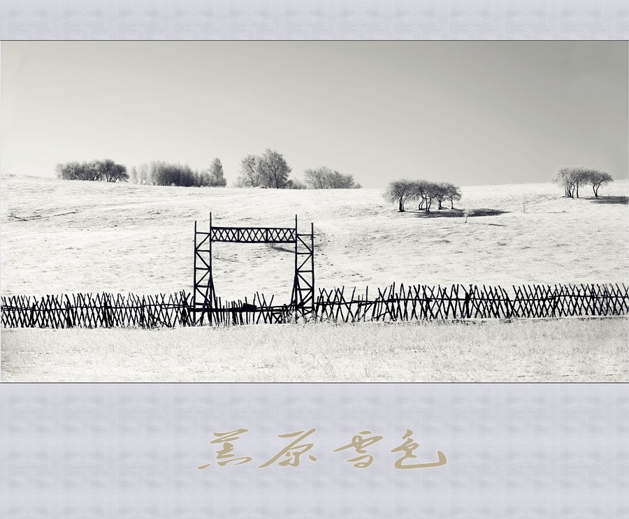 荒原雪色