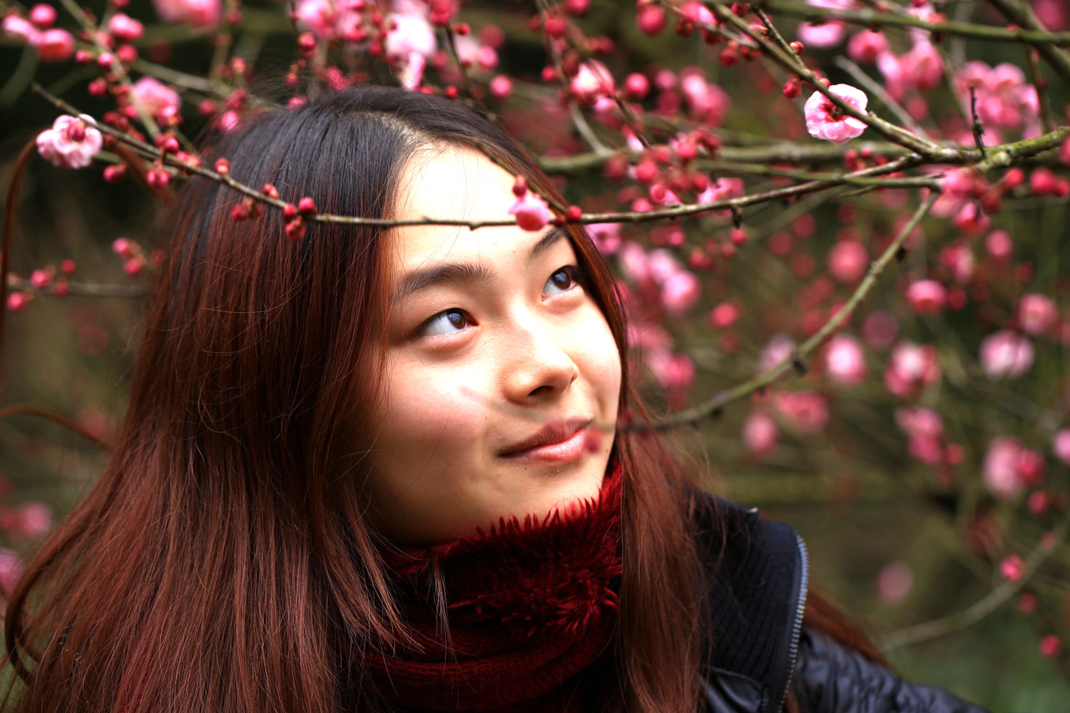 羞花女孩