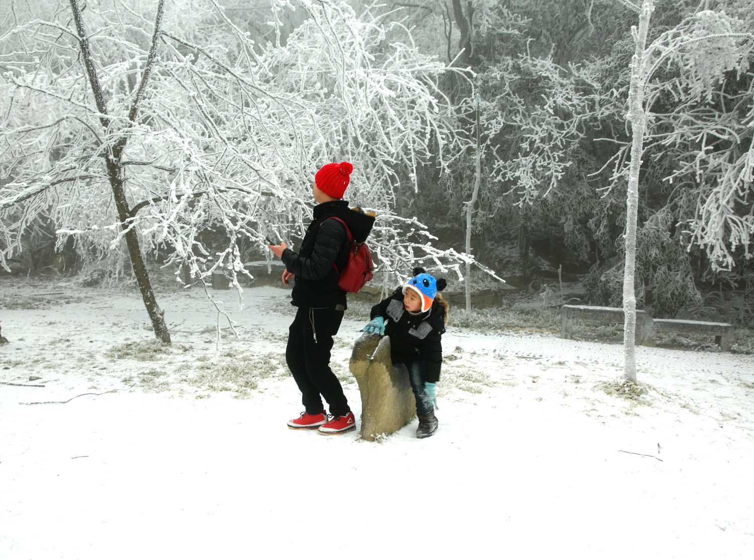 天门山观雪1(组照)