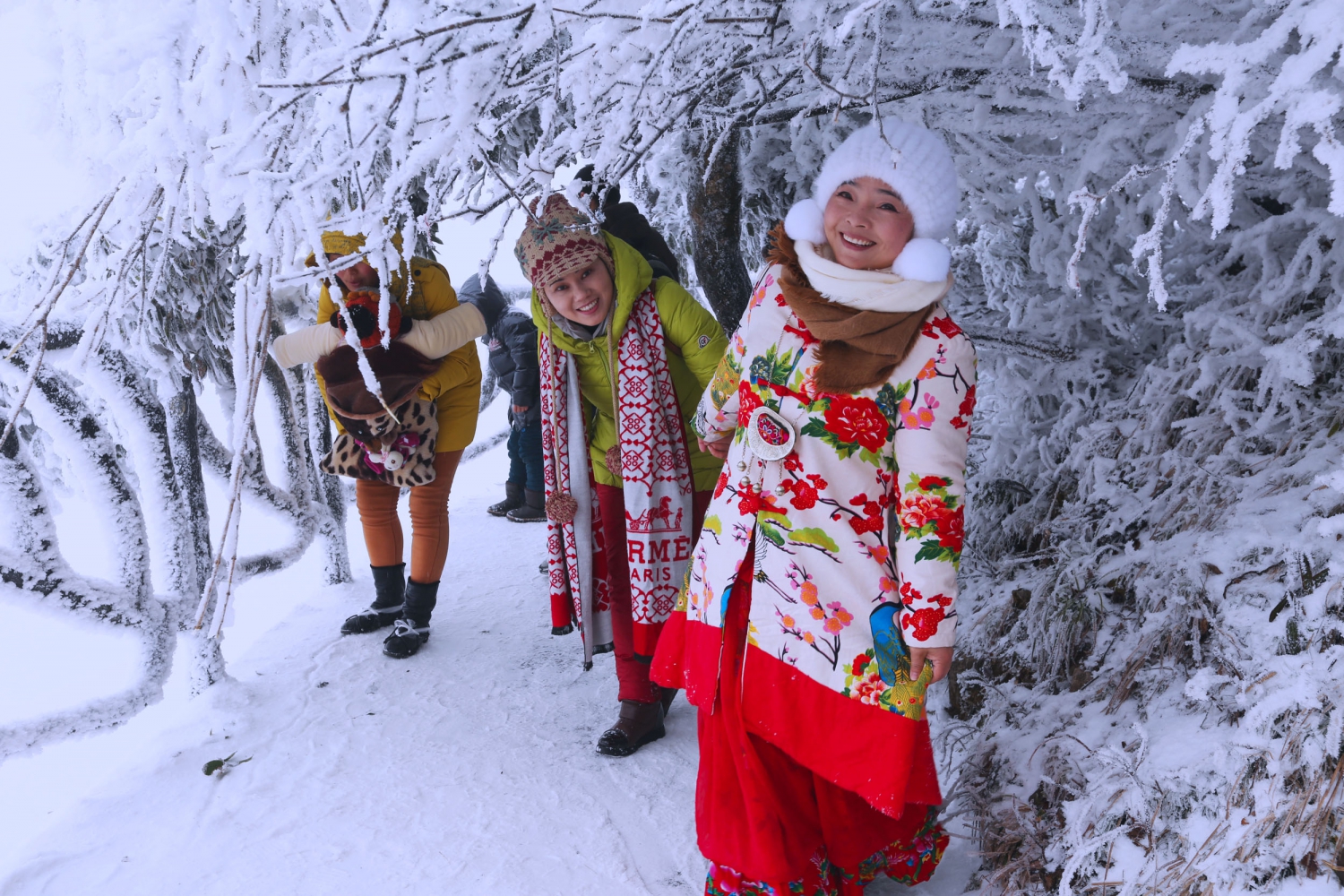 笑傲冰雪