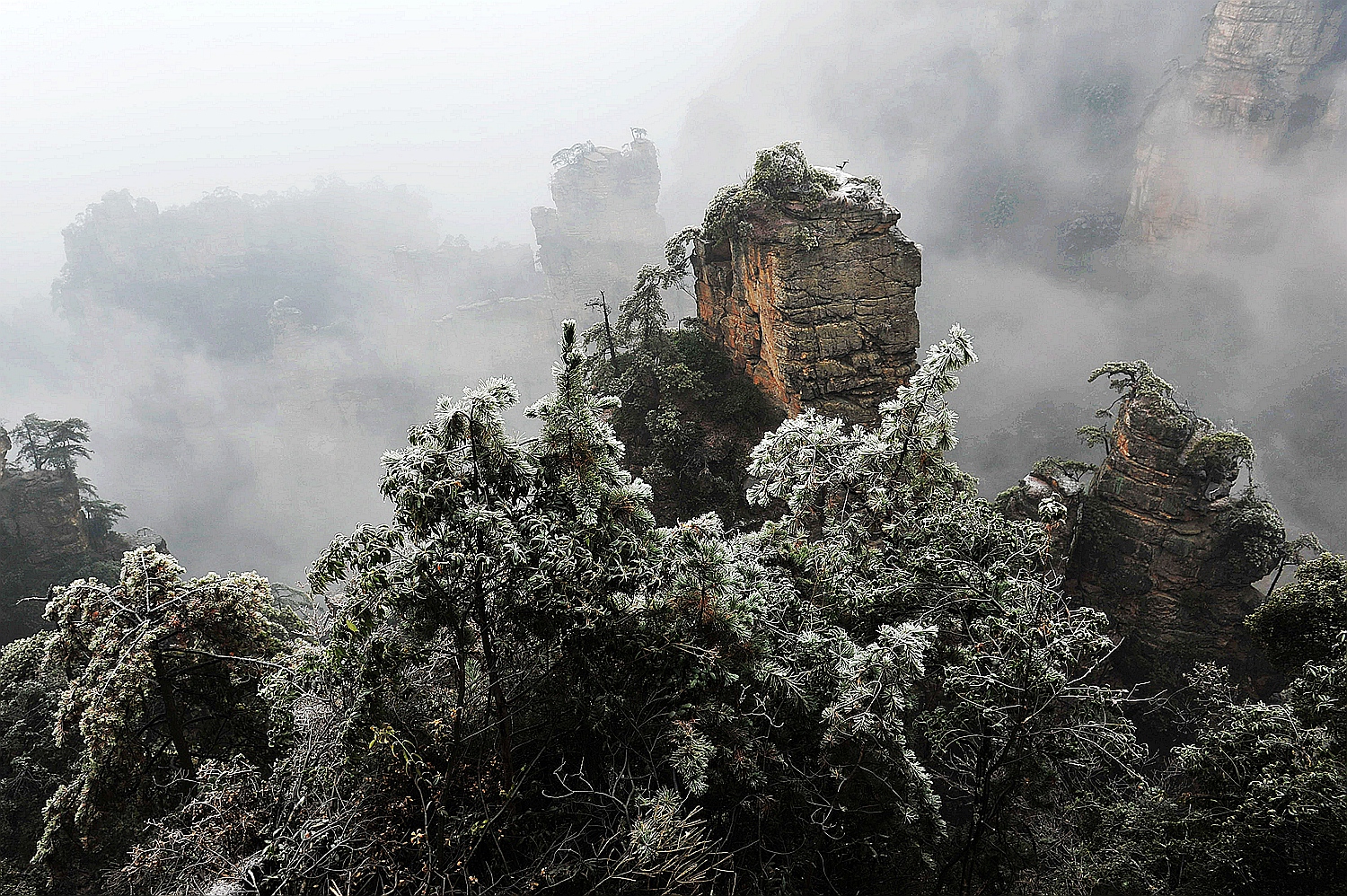 杨家界雪景1