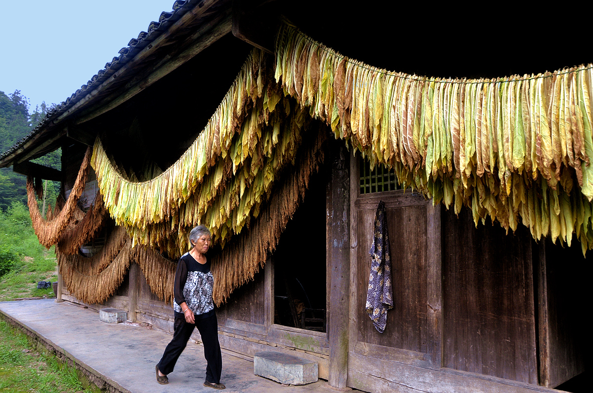 农 家（十三）