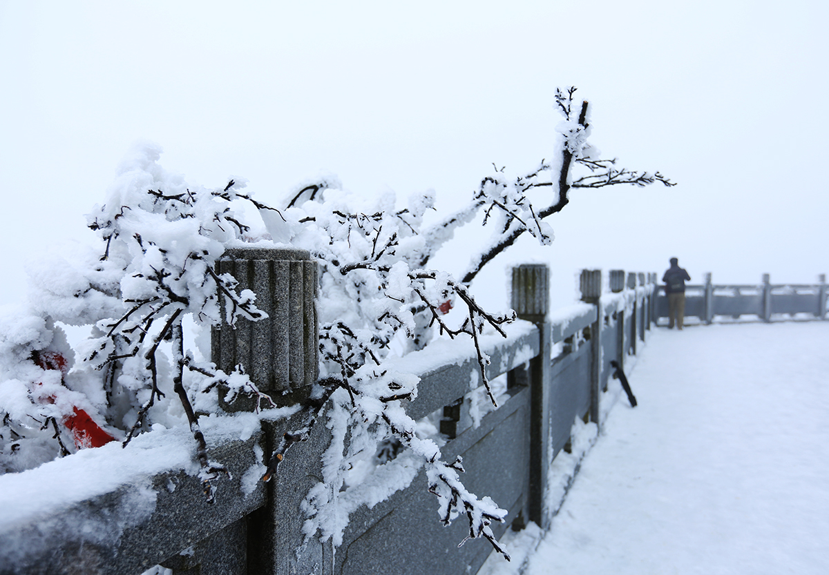 冰雪似花