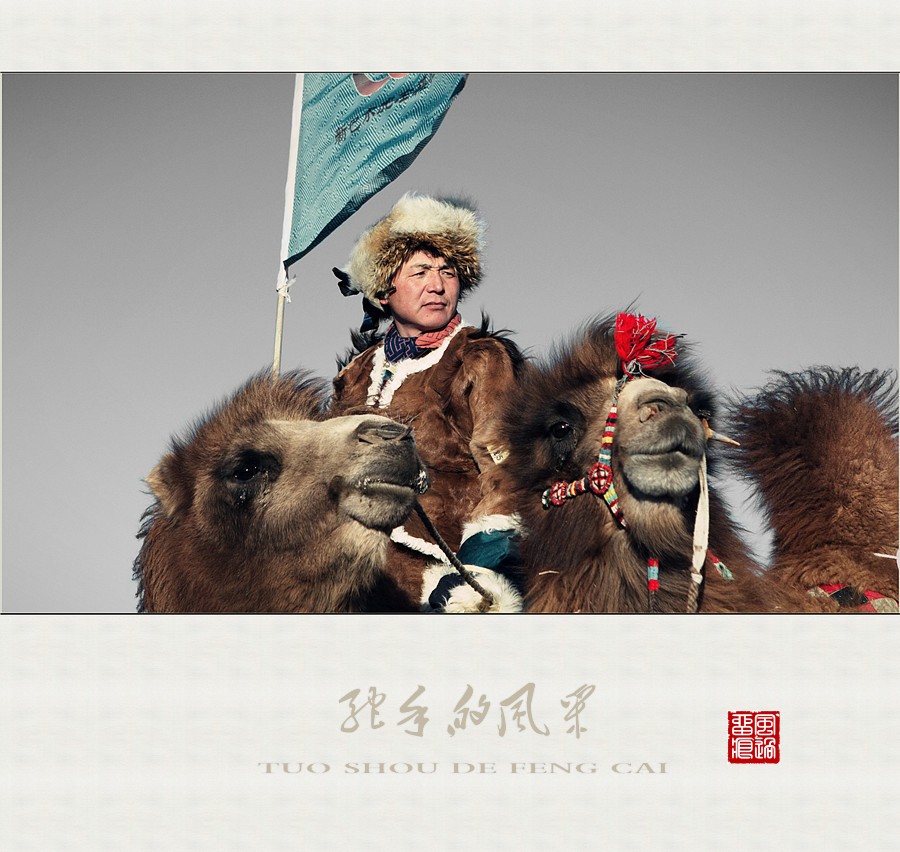 驼手的风采