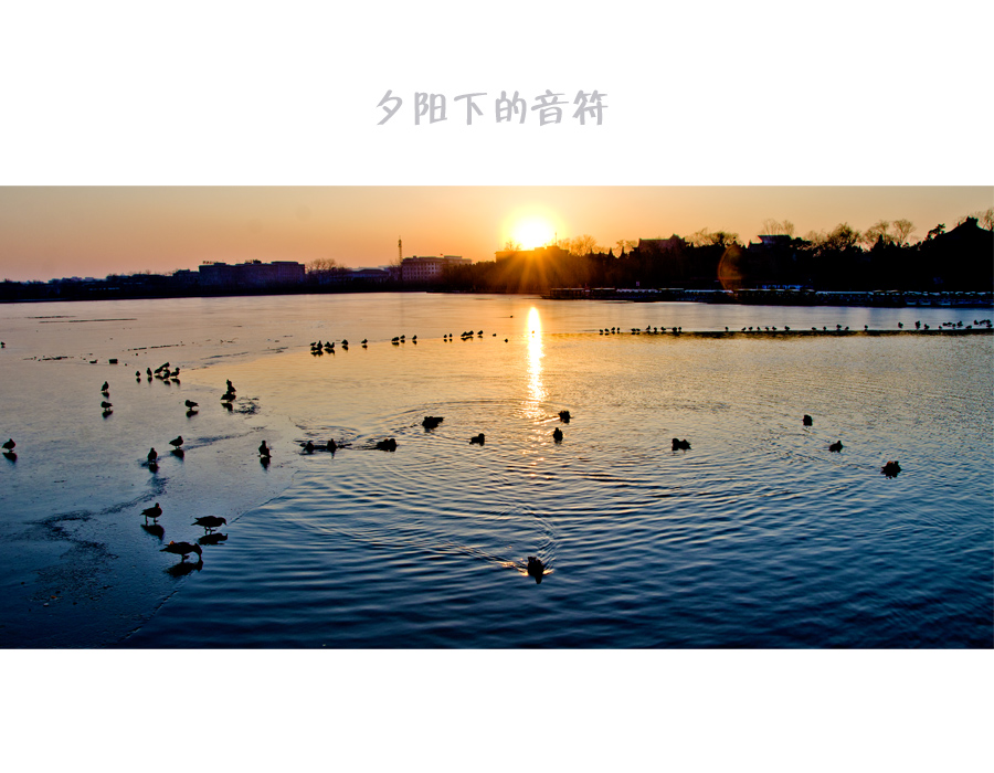 夕阳下的音符