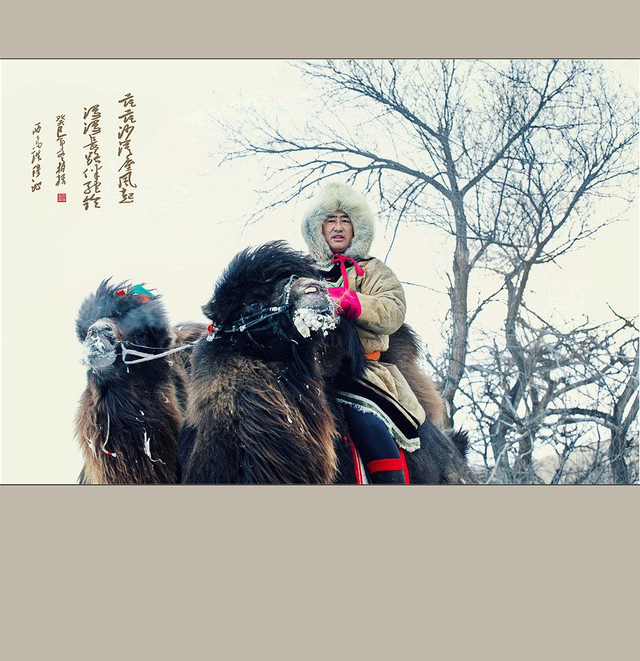 大漠雄风