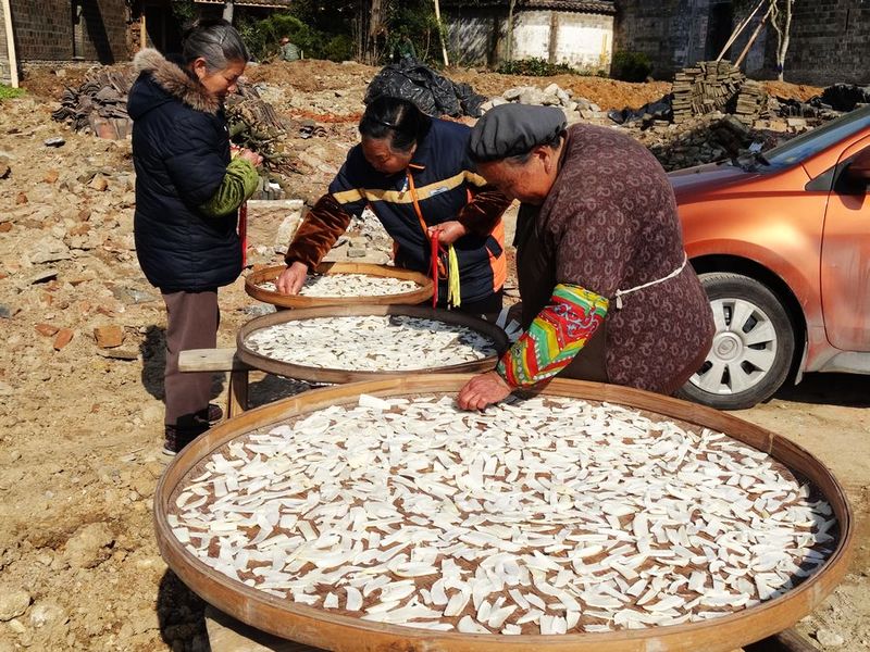 辛勤啊婆