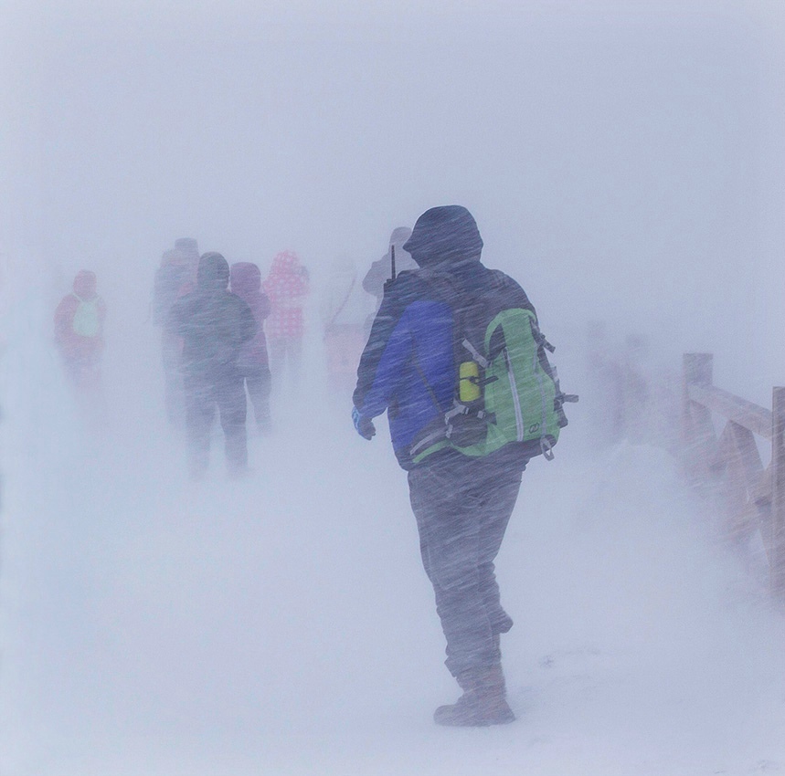 风雪兼程