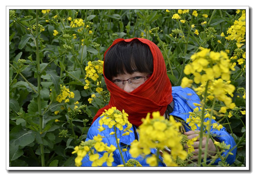 “东突”美女来赏花