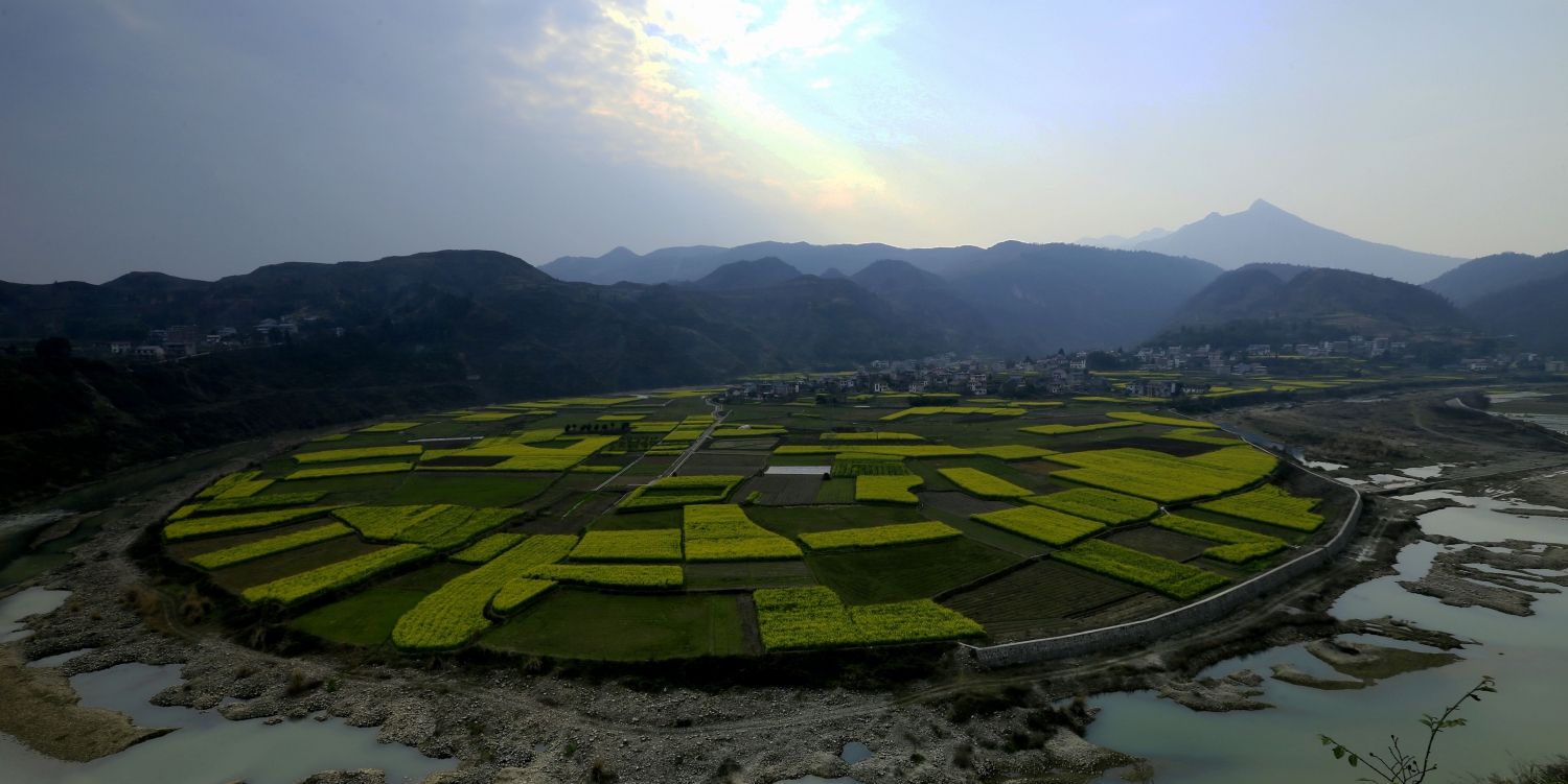 田园