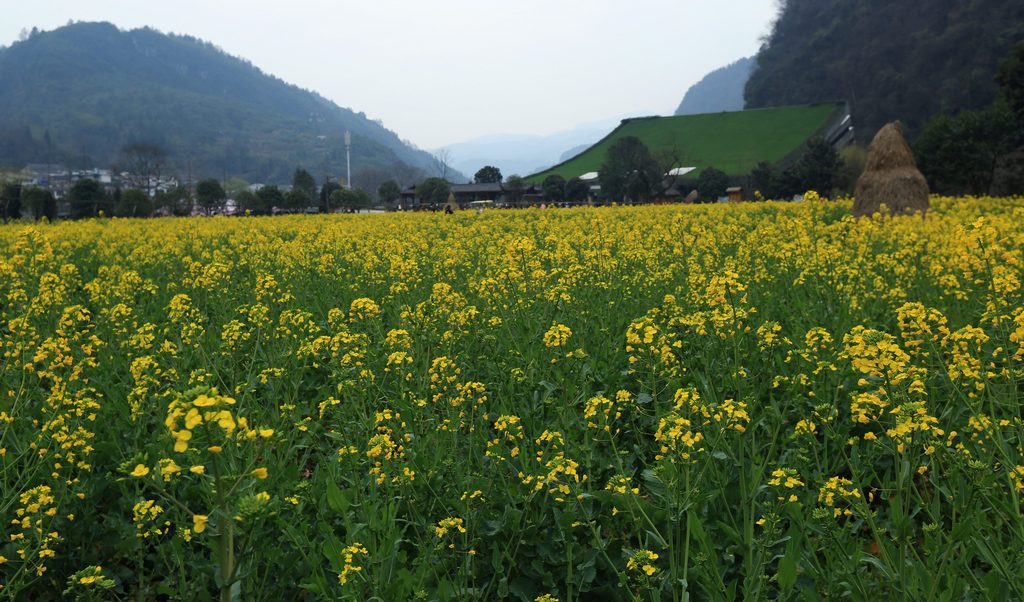 飞渡上天山