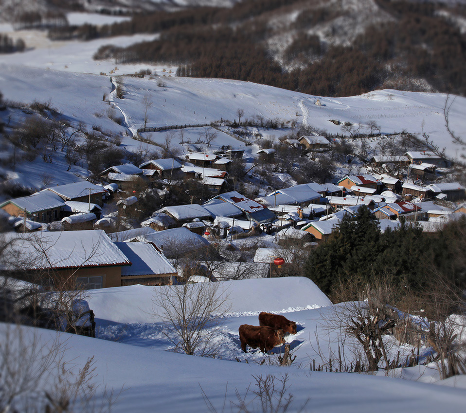 雪村印象