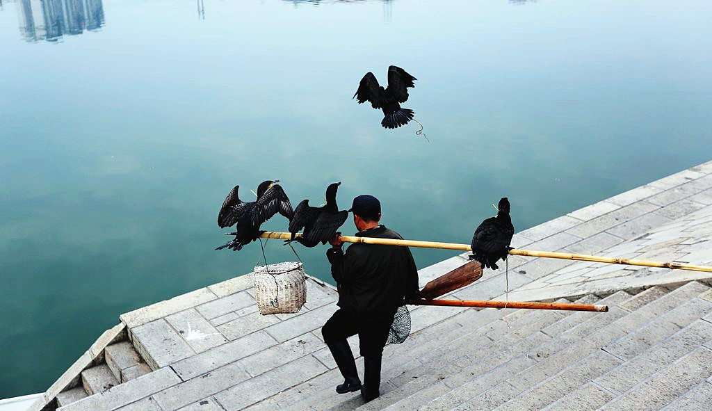 澧水印象