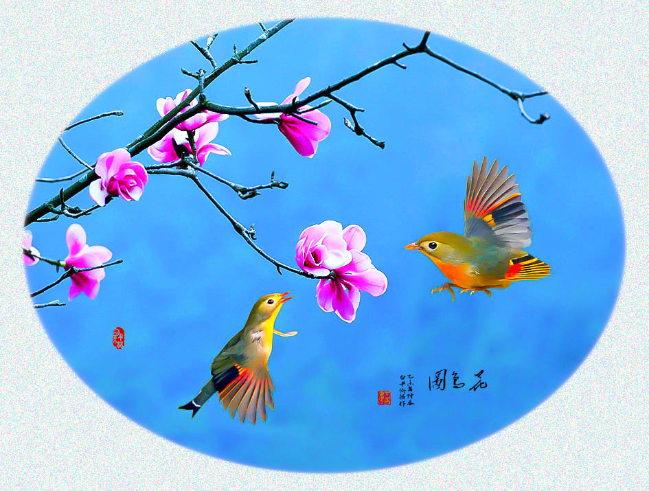 花鸟图