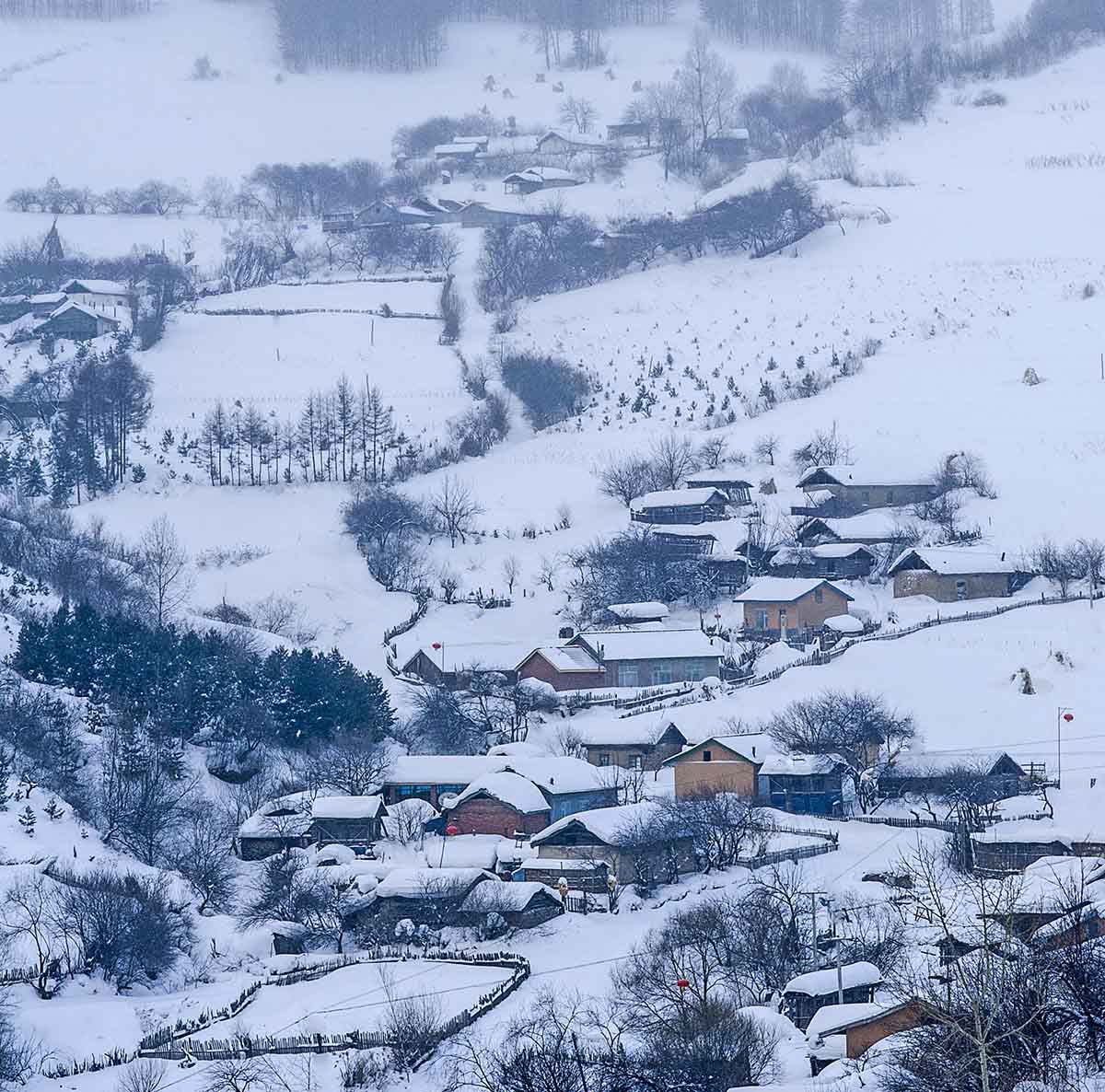 雪村正月正2