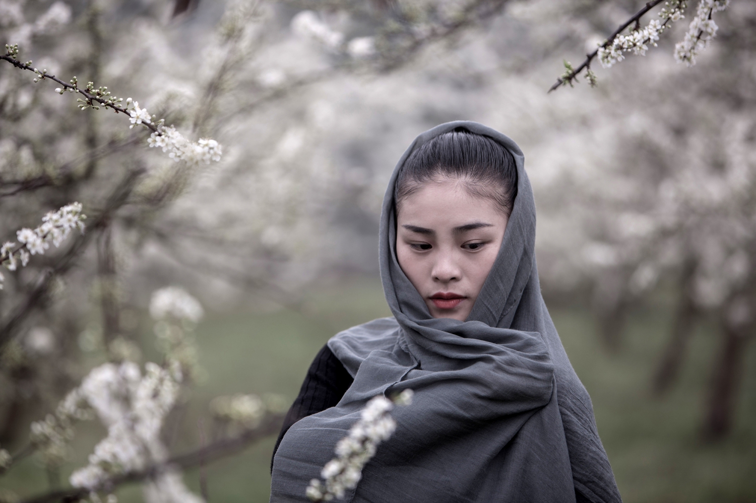 《洁》