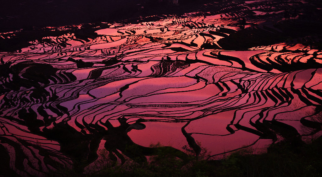 多彩梯田